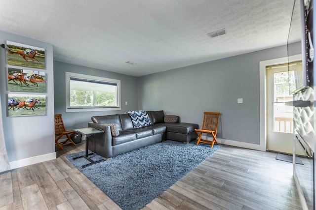 living room with hardwood / wood-style floors