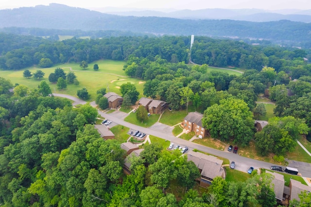 bird's eye view with a mountain view