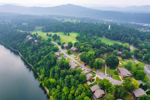 birds eye view of property with a water and mountain view