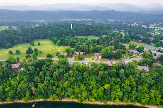 bird's eye view featuring a mountain view