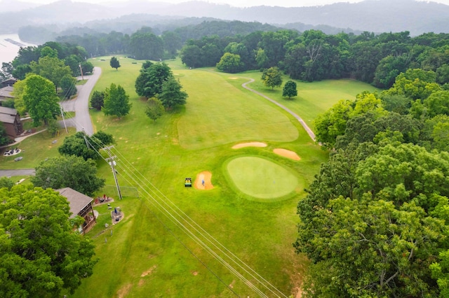 bird's eye view