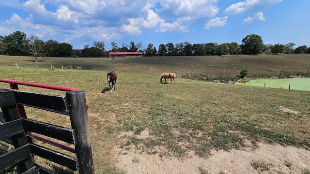 view of yard featuring a rural view