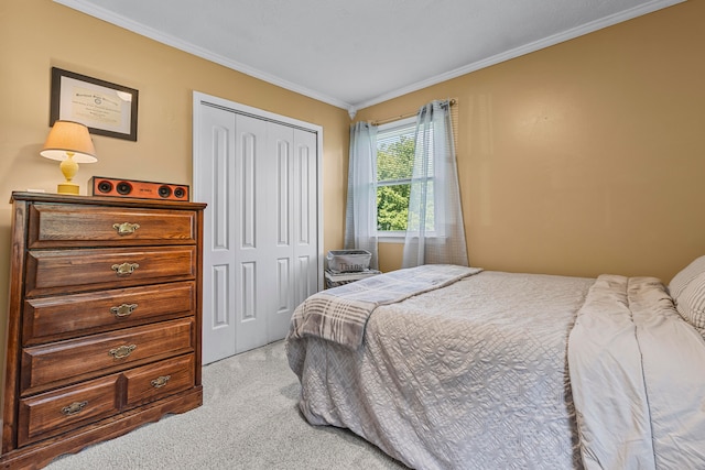 carpeted bedroom featuring ornamental molding and a closet