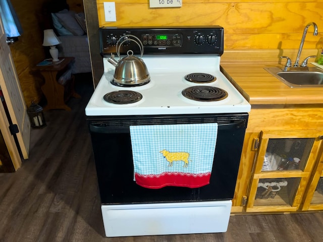 kitchen featuring dark wood-type flooring, sink, and white electric range oven