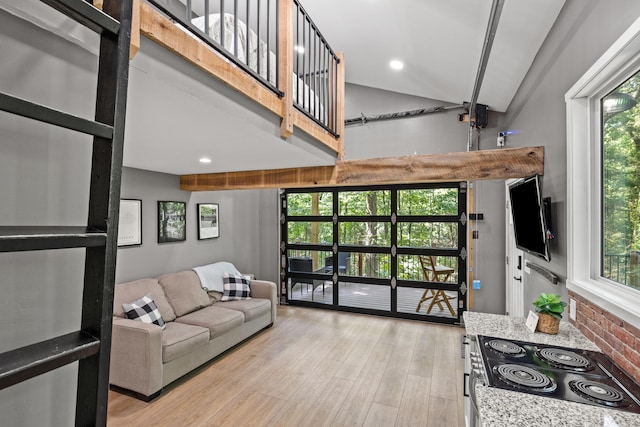 living room featuring lofted ceiling, a healthy amount of sunlight, and light hardwood / wood-style floors