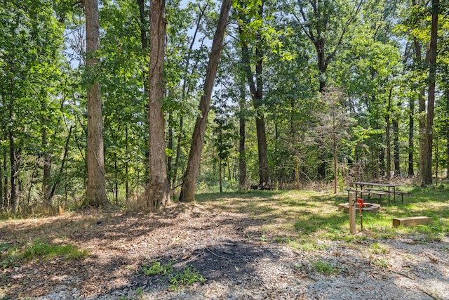 view of local wilderness