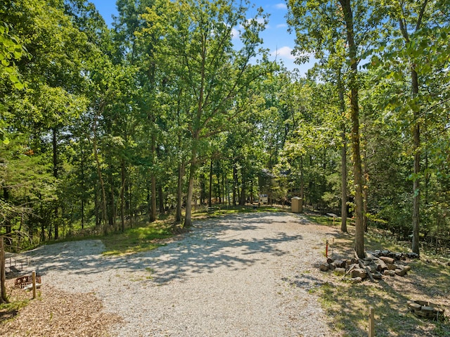 1545 Beaver Lake Rd, Lawrenceburg, KY 40342 - view of street with a forest view