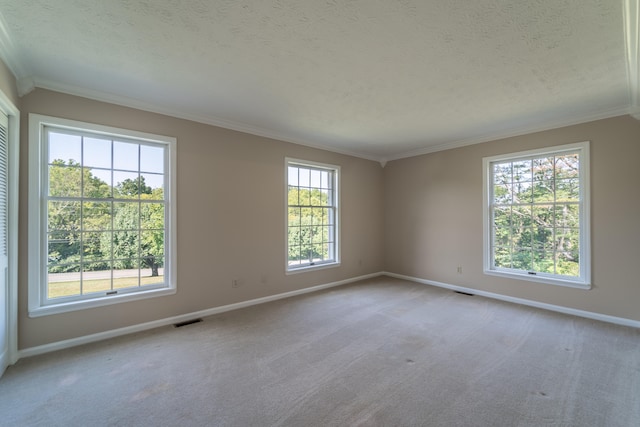 spare room with ornamental molding, a textured ceiling, plenty of natural light, and carpet flooring