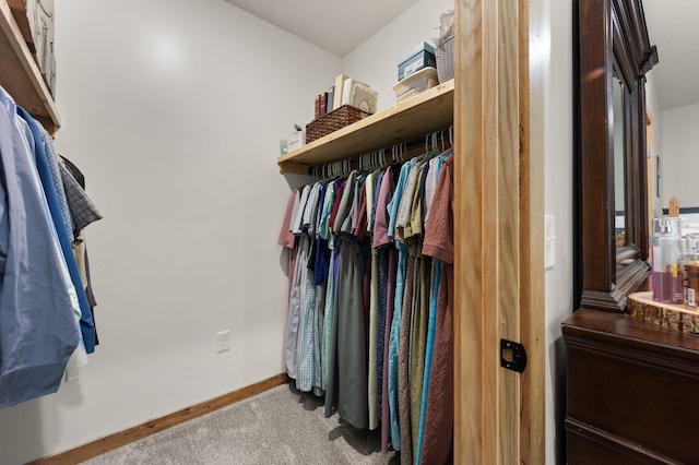 spacious closet with light carpet