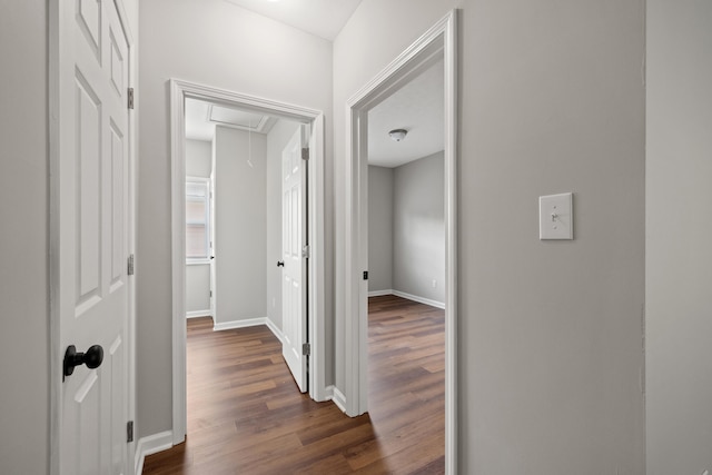 hallway with dark hardwood / wood-style floors