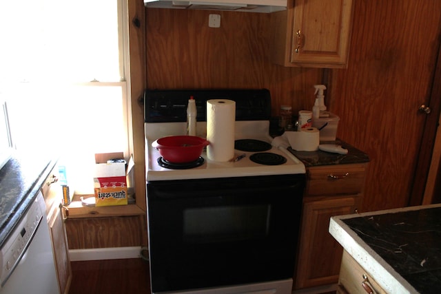 kitchen featuring a healthy amount of sunlight, white appliances, and extractor fan