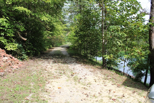 view of local wilderness