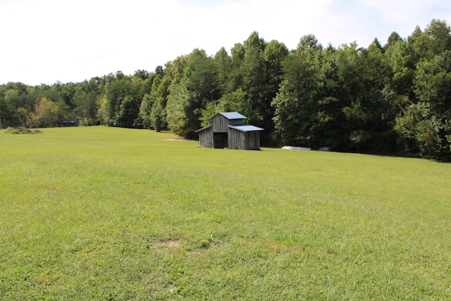 view of yard with a storage shed