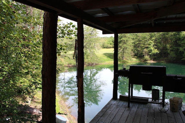 dock area with a water view