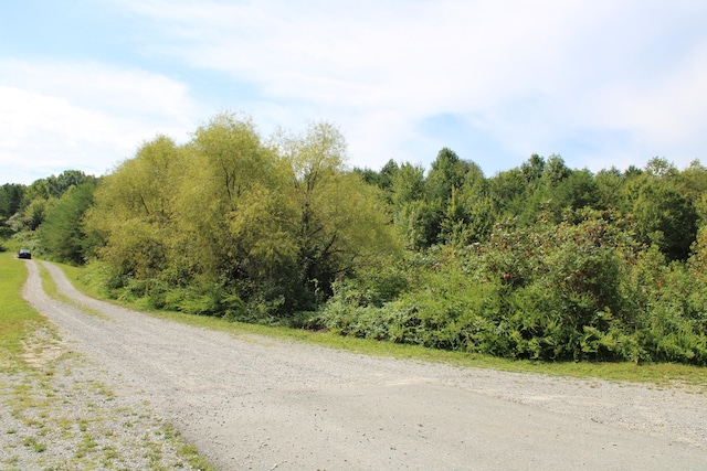 view of road