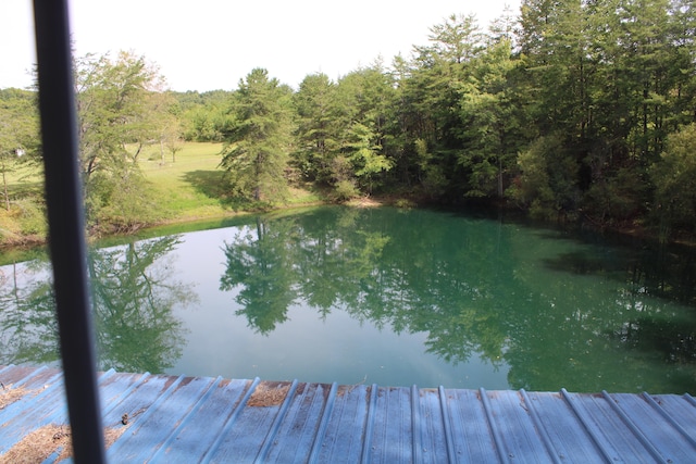 dock area featuring a water view