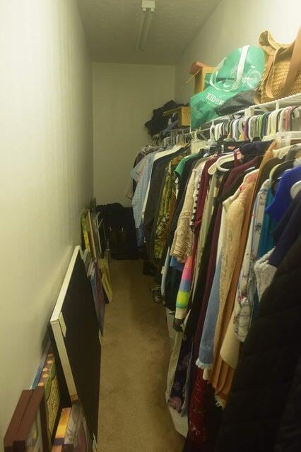 spacious closet with carpet flooring