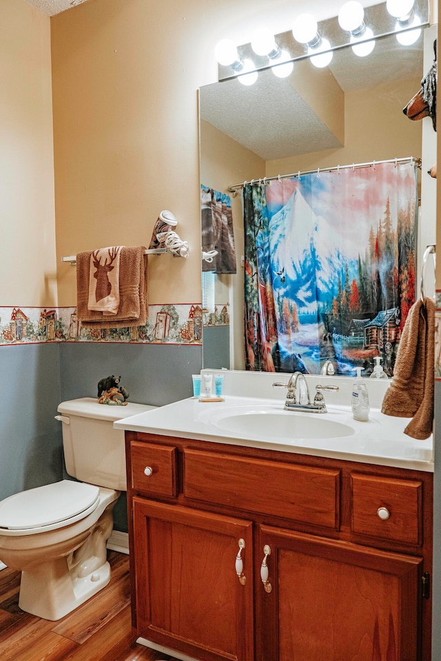 bathroom with vanity, toilet, and wood-type flooring