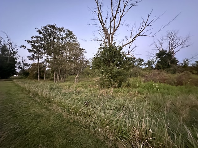 view of landscape