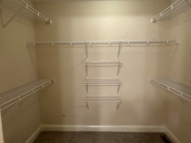 walk in closet featuring dark colored carpet