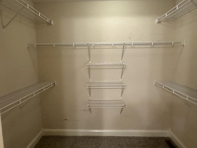 view of spacious closet