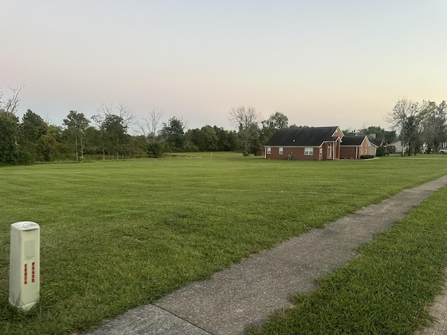 view of yard