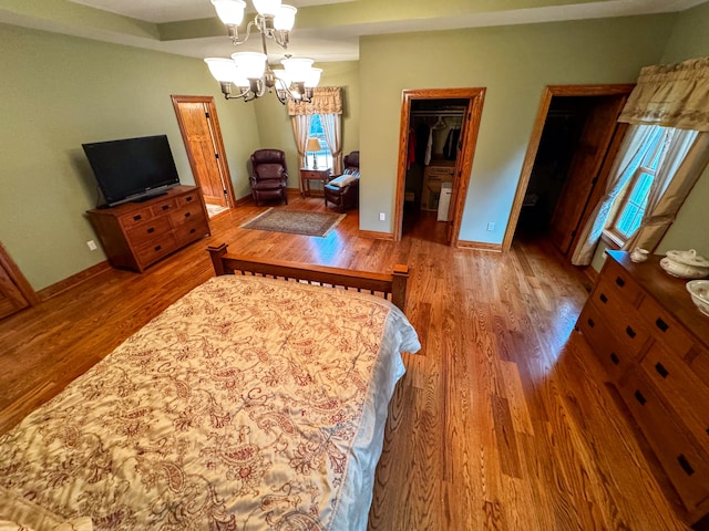 bedroom with a walk in closet, a closet, wood-type flooring, and multiple windows