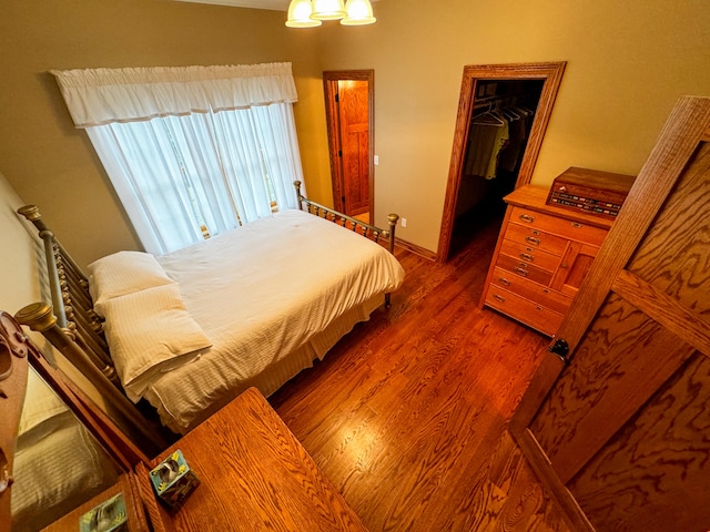 bedroom with dark wood-type flooring, a closet, and a spacious closet