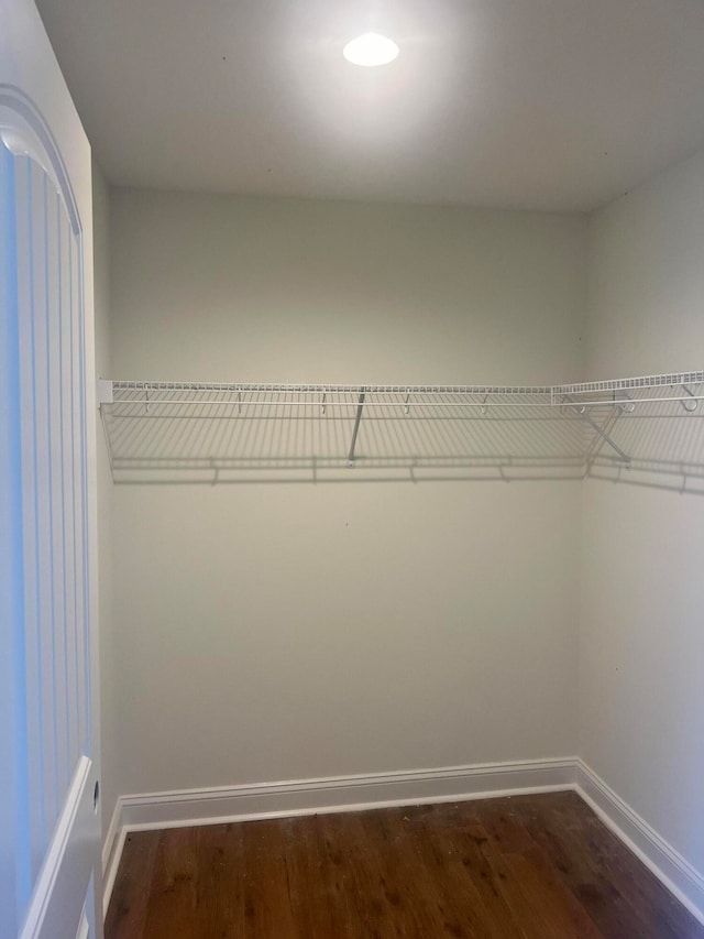 spacious closet with dark hardwood / wood-style floors