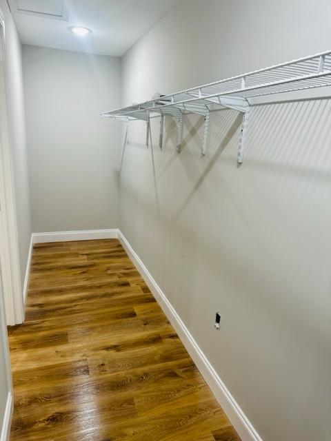 walk in closet with hardwood / wood-style flooring