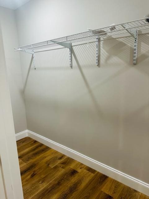 spacious closet with wood-type flooring