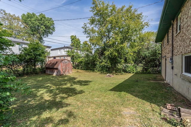 view of yard with a shed