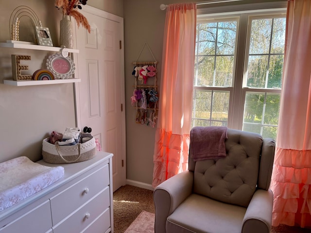 sitting room featuring carpet flooring