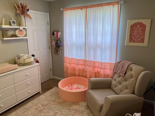 sitting room with carpet flooring