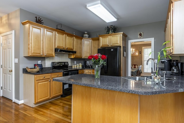 3005 Old Field Way, Lexington, KY 40513 - kitchen featuring black appliances, under cabinet range hood, a sink, light wood finished floors, and a peninsula