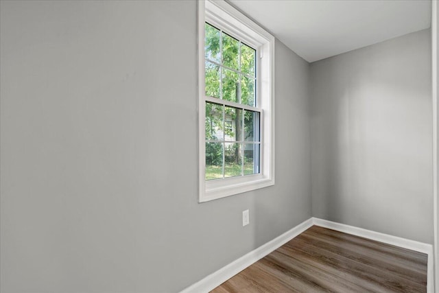 empty room featuring a wealth of natural light and wood-type flooring