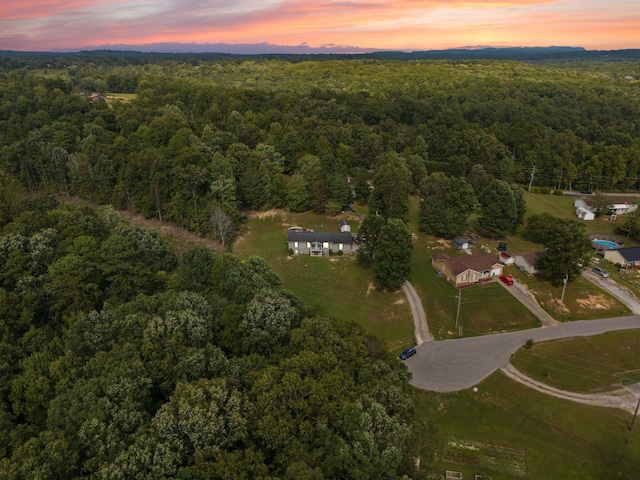aerial view at dusk of a forest view