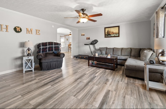 living room with light wood-type flooring, ceiling fan, crown molding, and a textured ceiling