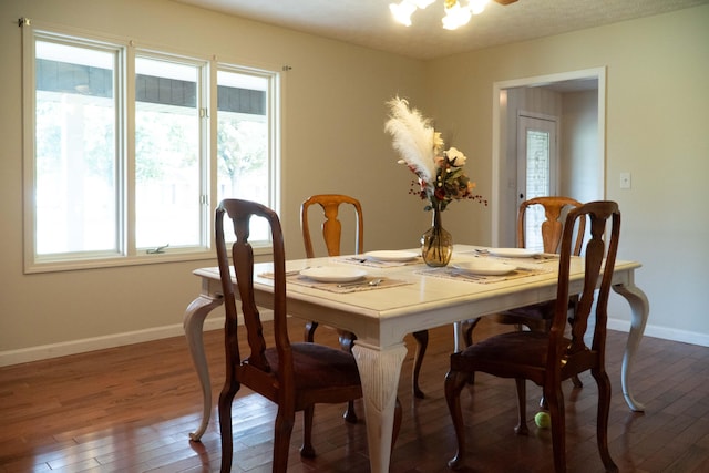 dining space featuring hardwood / wood-style floors