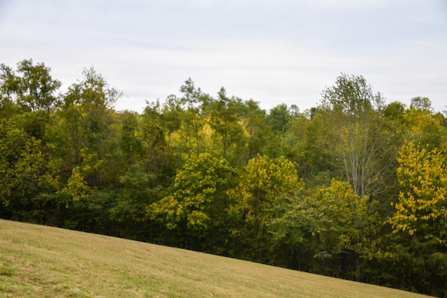 view of nature