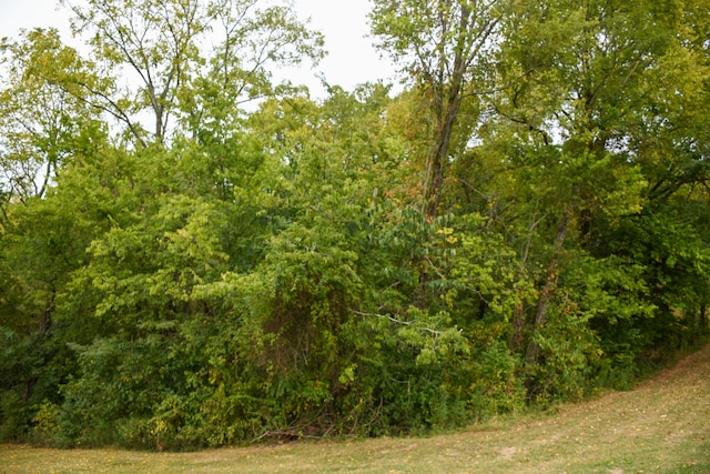 view of local wilderness