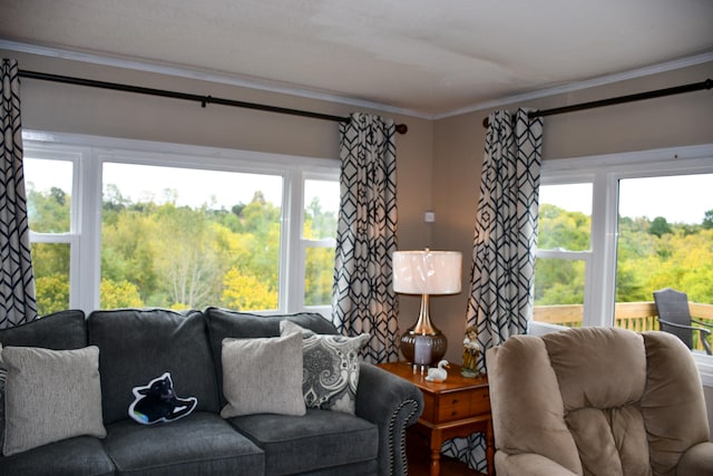 living room featuring a wealth of natural light and ornamental molding