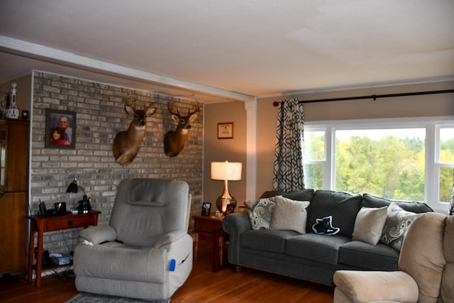 living room featuring hardwood / wood-style floors and ornamental molding