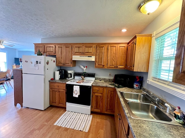 kitchen featuring a textured ceiling, white appliances, sink, and light hardwood / wood-style floors