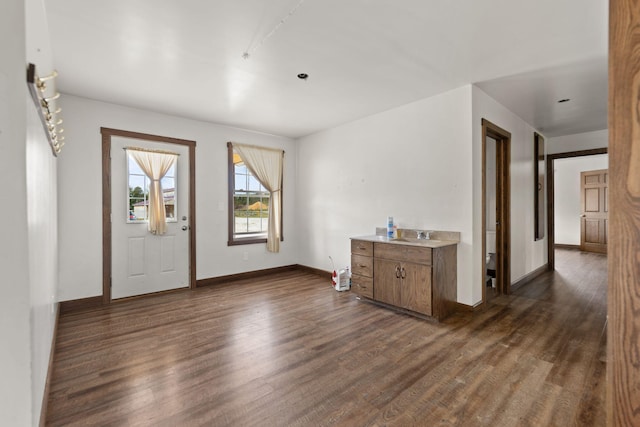 foyer with dark wood-type flooring and sink