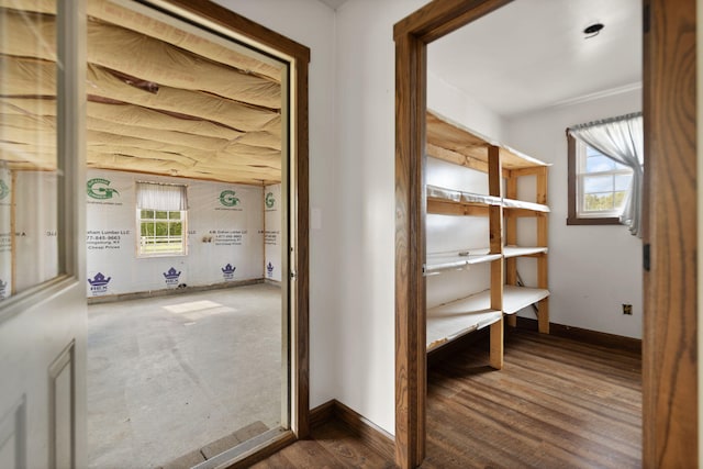 hallway with dark wood-type flooring