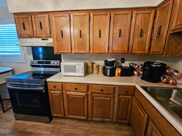 kitchen with dark hardwood / wood-style floors, stainless steel electric range, and sink