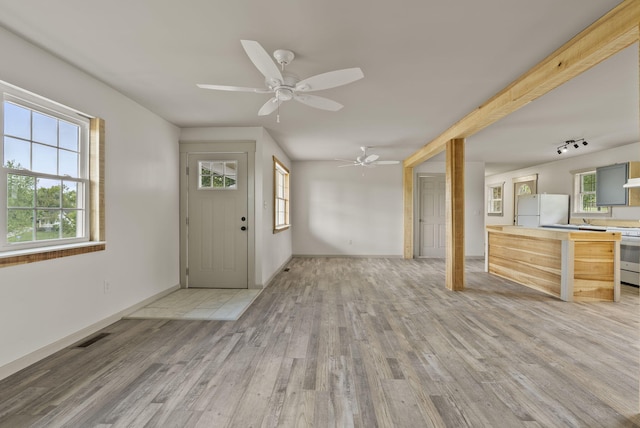 foyer featuring light wood-type flooring, a healthy amount of sunlight, and ceiling fan