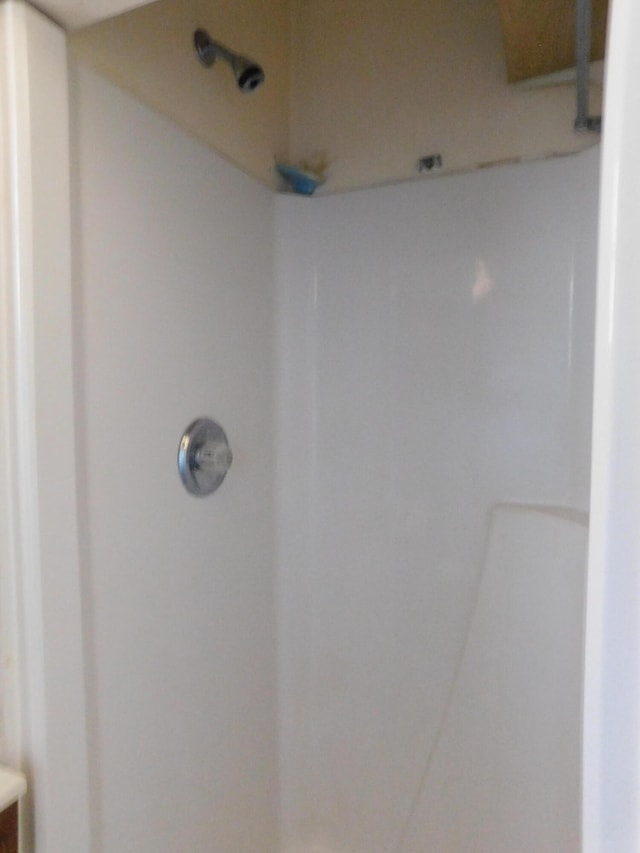 interior details with walk in shower