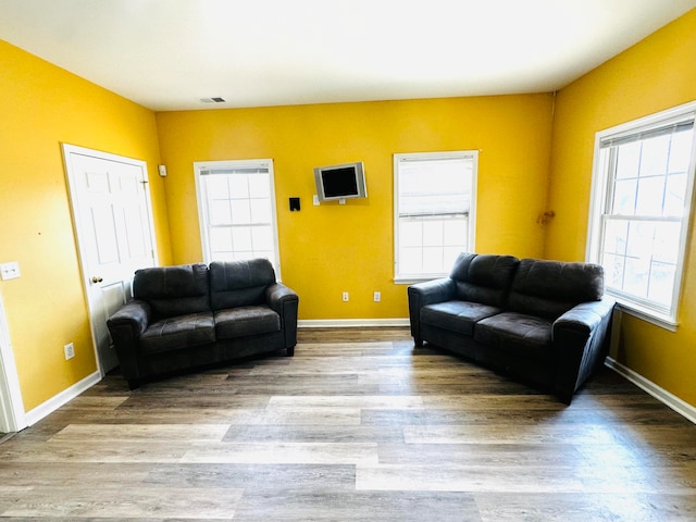 living room with hardwood / wood-style flooring